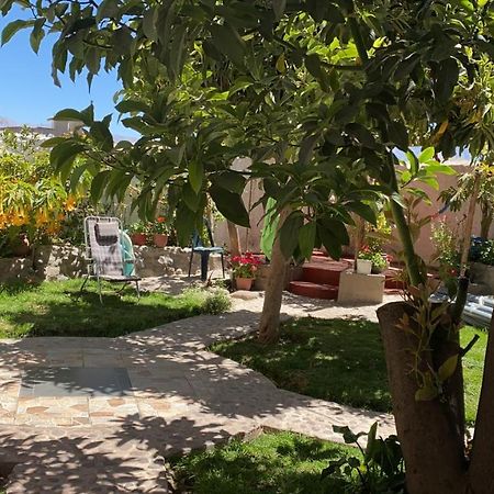 Las Palmeras Eco Hostel Cabanaconde Bagian luar foto