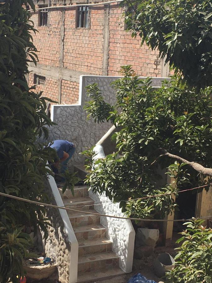 Las Palmeras Eco Hostel Cabanaconde Bagian luar foto
